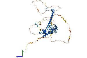 Protein Structure (PS) image for REST Corepressor 2 (Rcor2) (AA 1-523) protein (His tag) (ABIN7551298)
