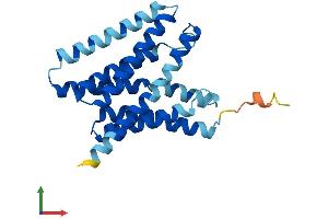 AlphaFold protein structure predicition of Mouse Recombinant Slc50a1 Protein, UniprotID Q9CXK4