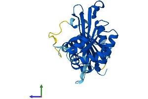 AlphaFold protein structure predicition of Human Recombinant GCLM Protein, UniprotID P48507
