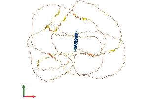 AlphaFold protein structure predicition of Human Recombinant CXorf49, Protein, UniprotID A8MYA2