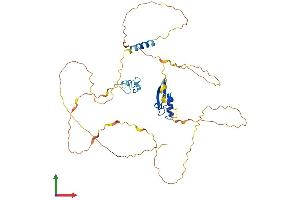 AlphaFold protein structure predicition of Human Recombinant ZNF704 Protein, UniprotID Q6ZNC4