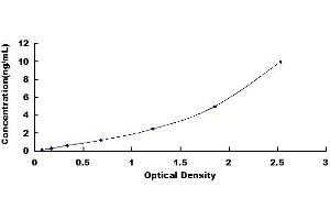 Typical standard curve (Kallikrein 8 ELISA Kit)