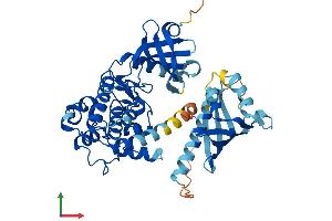 Protein Structure (PS) image for Calcium/calmodulin-Dependent Protein Kinase II alpha (CAMK2A) (AA 1-478) protein (His tag) (ABIN7548626)