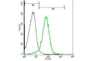 TACI antibody  (AA 21-120)