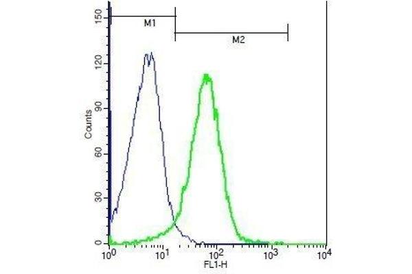 TACI antibody  (AA 21-120)