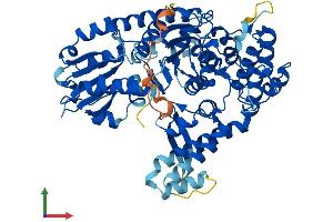 AlphaFold protein structure predicition of Human Recombinant STXBP1 Protein, UniprotID P61764 (STXBP1 Protein (AA 1-594) (His tag))
