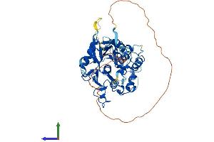 AlphaFold protein structure predicition of Mouse Recombinant Adat1 Protein, UniprotID Q9JHI2