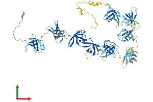 AlphaFold protein structure predicition of Human Recombinant CSDE1 Protein, UniprotID O75534 (CDSE1 Protein (AA 1-798) (His tag))