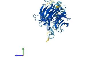 AlphaFold protein structure predicition of Mouse Recombinant Fbxw2 Protein, UniprotID Q60584