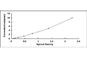 Typical standard curve (CXCR1 ELISA Kit)