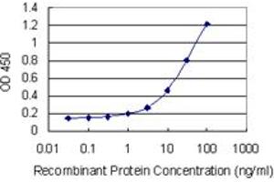 Detection limit for recombinant GST tagged RAMP1 is 0. (RAMP1 antibody  (AA 27-117))