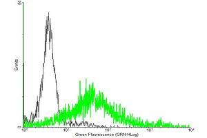 FACS analysis of negative control 293 cells (Black) and ADORA2A expressing 293 cells (Green) using ADORA2A purified MaxPab mouse polyclonal antibody. (Adenosine A2a Receptor antibody  (AA 1-412))