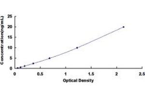 Typical standard curve (DPEP3 ELISA Kit)