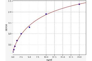 Typical standard curve (PKC epsilon ELISA Kit)