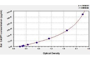 Caspase 1 (CASP1) ELISA Kit