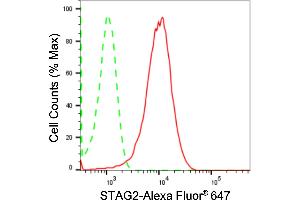 Flow cytometric analysis of STAG2 expression in HepG2 cells using STAG2 antibody (ABIN7800974), 1:2,000). (Recombinant STAG2 antibody)