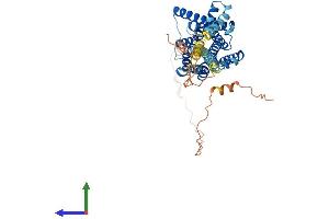 Protein Structure (PS) image for 5-Hydroxytryptamine (serotonin) Receptor 7 (Adenylate Cyclase-Coupled) (HTR7) (AA 1-479) protein (His tag) (ABIN7551839)