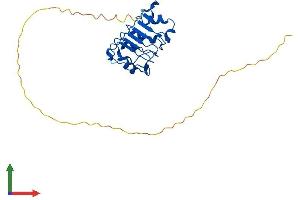 AlphaFold protein structure predicition of Human Recombinant ANP32B Protein, UniprotID Q92688