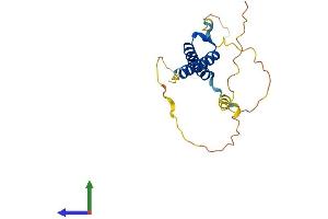 AlphaFold protein structure predicition of Mouse Recombinant Msgn1 Protein, UniprotID Q9JK54 (Mesogenin 1 Protein (MSGN1) (AA 1-188) (His tag))