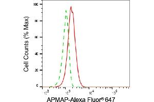 Flow cytometric analysis of APMAP expression in HepG2 cells using APMAP antibody (ABIN7797527), 1:2,000). (APMAP antibody)