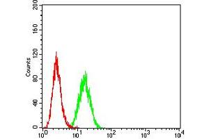 Flow cytometric analysis of Hela cells using GRIN2A mouse mAb (green) and negative control (red). (NMDAR2A antibody  (AA 23-165))