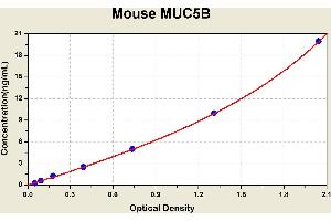 Diagramm of the ELISA kit to detect Mouse MUC5Bwith the optical density on the x-axis and the concentration on the y-axis.