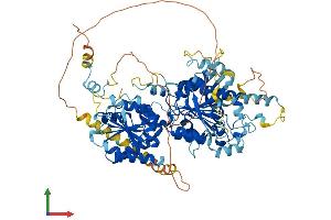 AlphaFold protein structure predicition of Mouse Recombinant Utp25 Protein, UniprotID Q8BTT6