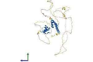AlphaFold protein structure predicition of Human Recombinant TMPO Protein, UniprotID P42167
