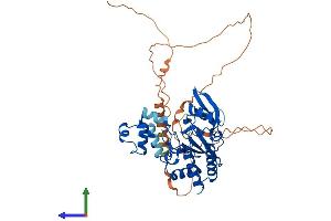 Protein Structure (PS) image for Inositol-Trisphosphate 3-Kinase A (ITPKA) (AA 1-459) protein (His tag) (ABIN7559618)