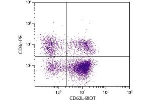 BALB/c mouse splenocytes were stained with Rat Anti-Mouse CD62L-BIOT. (L-Selectin antibody  (Biotin))