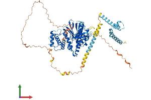 AlphaFold protein structure predicition of Mouse Recombinant Frmd3 Protein, UniprotID Q8BHD4