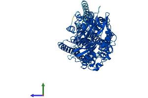 Protein Structure (PS) image for Arachidonate 12-Lipoxygenase (ALOX12) (AA 1-663) protein (His tag) (ABIN7554452)
