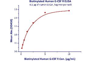 Immobilized Human G-CSF, Tag Free  with a linear range of 0.