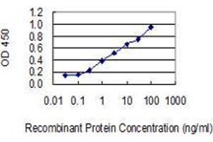 Detection limit for recombinant GST tagged ZNF500 is 0. (ZNF500 antibody  (AA 372-480))
