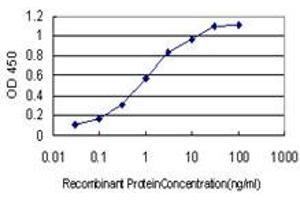 Detection limit for recombinant GST tagged TAC3 is approximately 0. (Tachykinin 3 antibody  (AA 17-121))