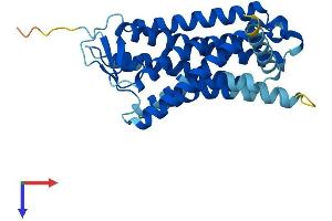 AlphaFold protein structure predicition of Human Recombinant OR4F21 Protein, UniprotID O95013 (OR4F21 Protein (AA 1-312) (His tag))