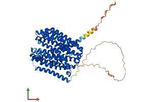 AlphaFold protein structure predicition of Human Recombinant SLC47A1 Protein, UniprotID Q96FL8 (SLC47A1 Protein (AA 1-570) (His tag))