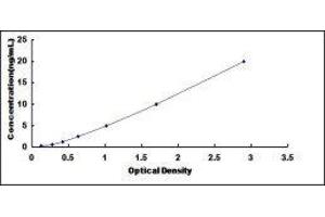 Echinoderm Microtubule Associated Protein Like 2 (EML2) ELISA Kit