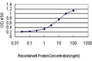 Detection limit for recombinant GST tagged ENO2 is approximately 0. (ENO2/NSE antibody  (AA 325-434))