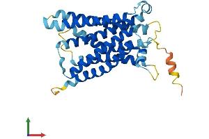 AlphaFold protein structure predicition of Mouse Recombinant Mrgpra2 Protein, UniprotID Q91WW4 (Mrgpra2 Protein (AA 1-305) (His tag))