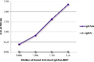 ELISA plate was coated with purified goat IgG Fab and IgG Fc. (Rabbit anti-Goat IgG (Fab Region) Antibody)