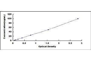 Typical standard curve (CKM ELISA Kit)