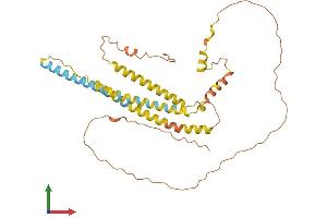 AlphaFold protein structure predicition of Human Recombinant NPIPA5 Protein, UniprotID E9PKD4 (NPIPA5 Protein (AA 1-350) (His tag))
