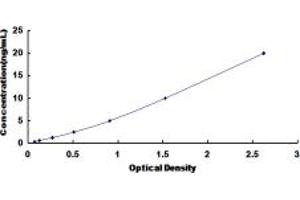 Typical standard curve (BAX ELISA Kit)