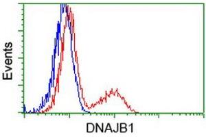 HEK293T cells transfected with either RC201762 overexpress plasmid (Red) or empty vector control plasmid (Blue) were immunostained by anti-DNAJB1 antibody (ABIN2454060), and then analyzed by flow cytometry. (DNAJB1 antibody)