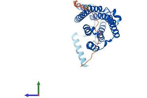 AlphaFold protein structure predicition of Human Recombinant ELOVL2 Protein, UniprotID Q9NXB9 (ELOVL2 Protein (AA 1-296) (His tag))