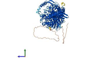 AlphaFold protein structure predicition of Human Recombinant GBA2 Protein, UniprotID Q9HCG7