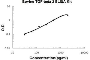 Bovine TGF-beta 2 PicoKine ELISA Kit standard curve