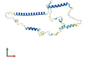 Protein Structure (PS) image for Leukocyte Receptor Cluster (LRC) Member 1 (Leng1) (AA 1-264) protein (His tag) (ABIN7548921)