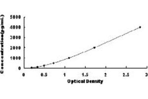 Typical standard curve (TIMP2 ELISA Kit)